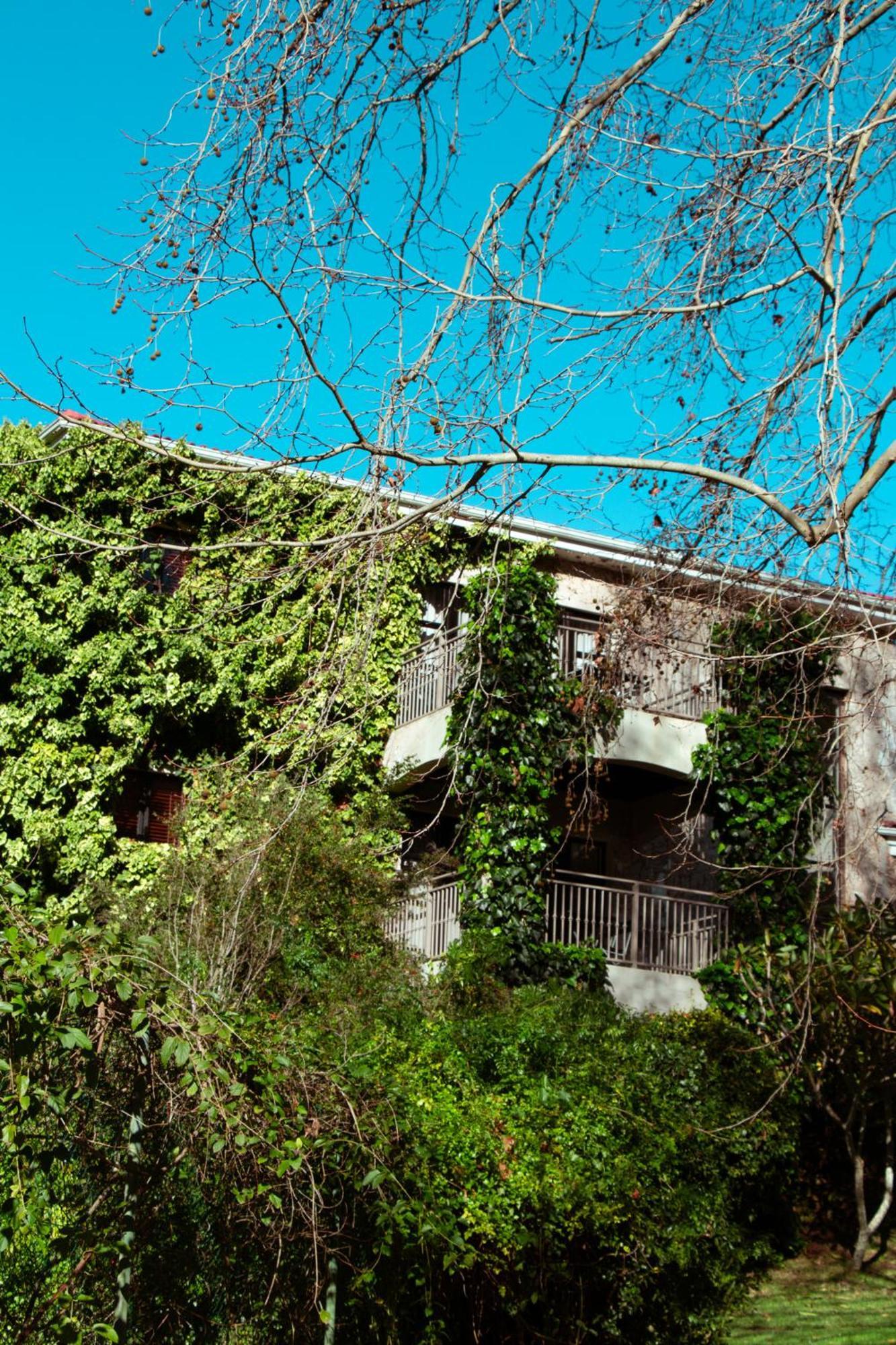 Southern Light Country House Cape Town Exterior foto